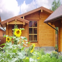 �������� ���� ��������