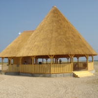 �������� ���� ��������