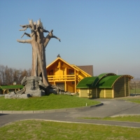 �������� ���� ��������