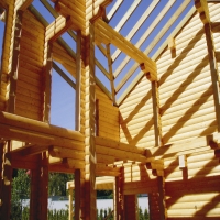 �������� ���� ��������