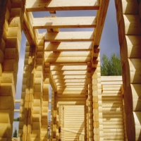 �������� ���� ��������