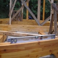 �������� ���� ��������